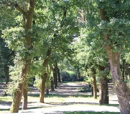 A Tafona * Caldas De Reis